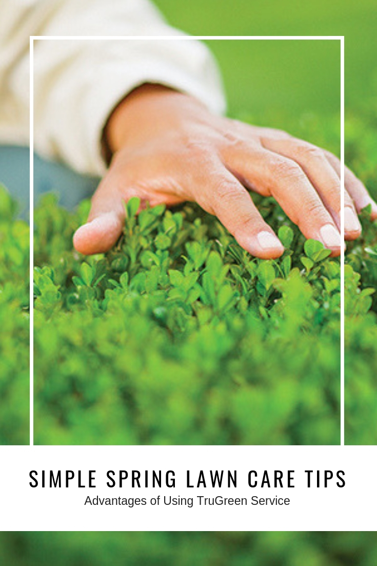 Spring Lawn Care Tips