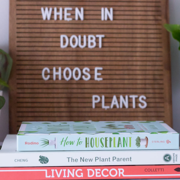 Are You A Plant Lover? Add These 3 Books To Your Library!