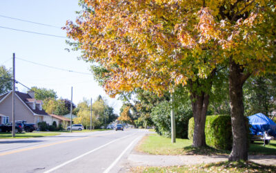 Family Friendly | Fun Fall Scavenger Hunt