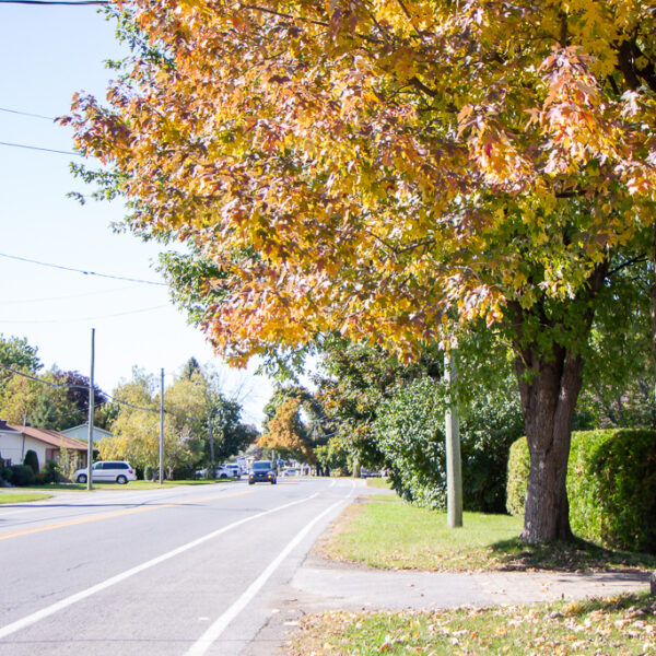 Family Friendly | Fun Fall Scavenger Hunt