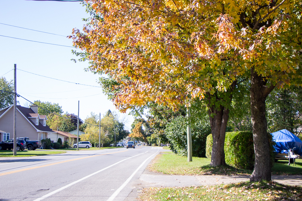 Family Friendly | Fun Fall Scavenger Hunt