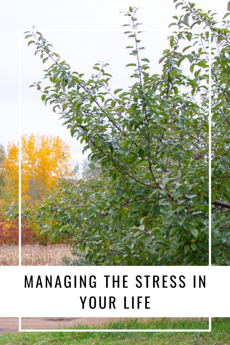 Managing The Stress In Your Life