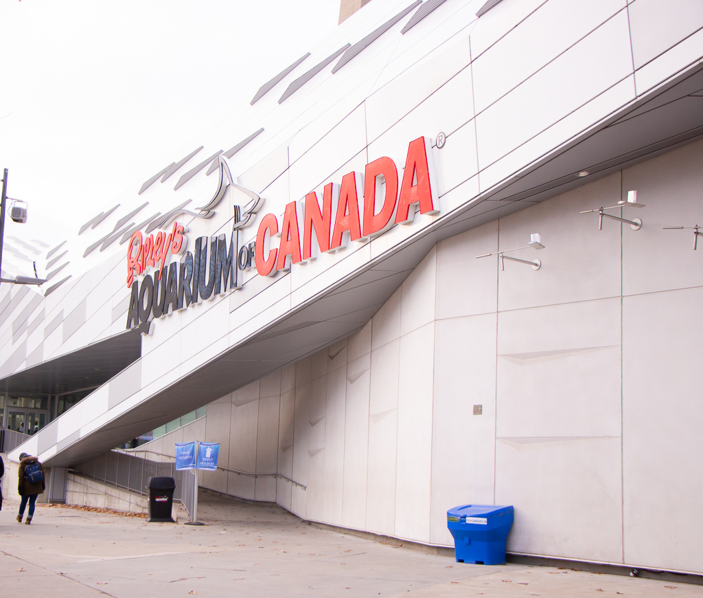 Toronto Indoor Activities For The Family | See Toronto Now