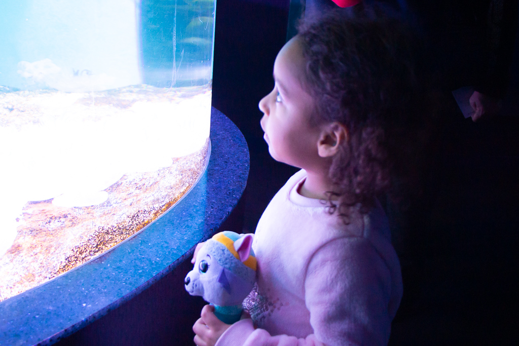 Toronto Indoor Activities For The Family | See Toronto Now