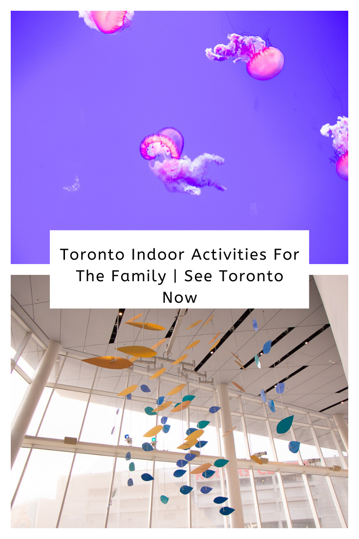 Toronto Indoor Activities For The Family | See Toronto Now