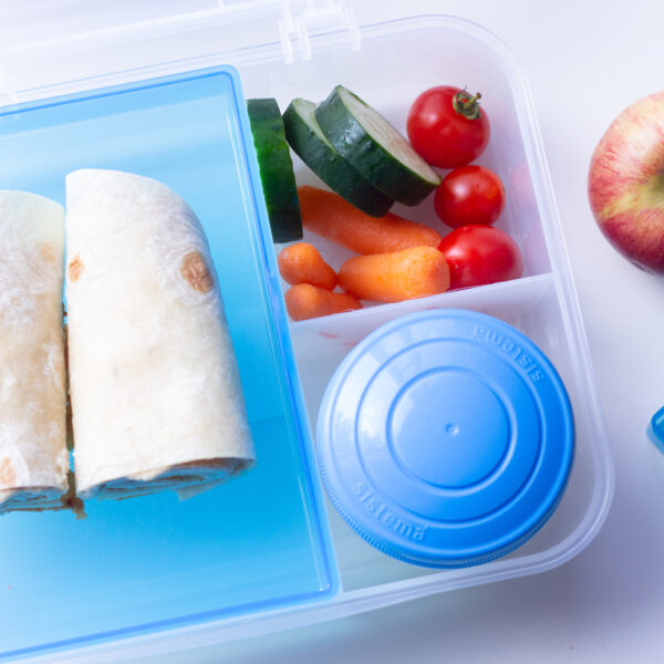 Back to School Lunch Packing Tips and Hacks