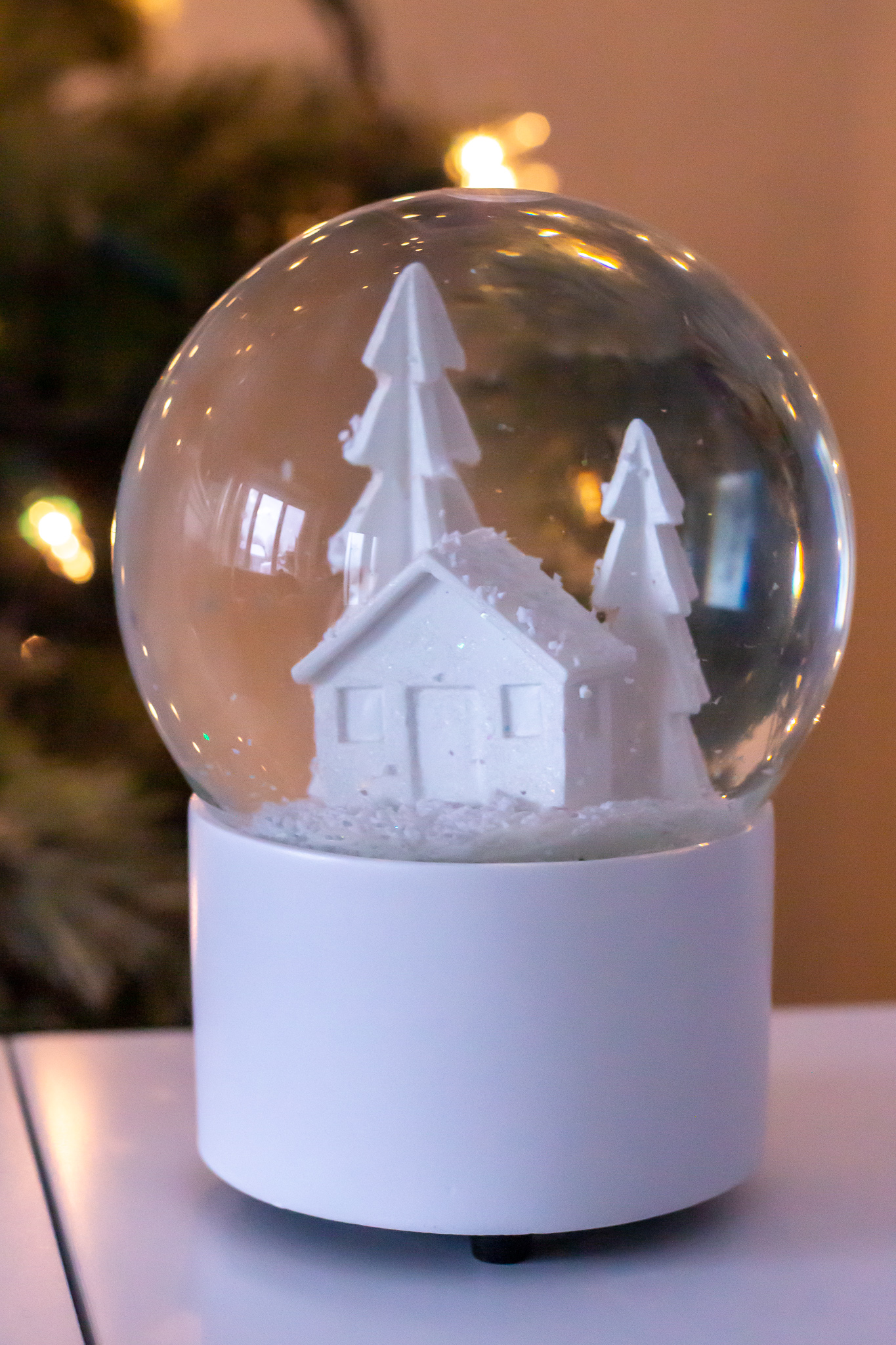 Saving Our Snow Globe: Being Eco-Friendly at Christmas