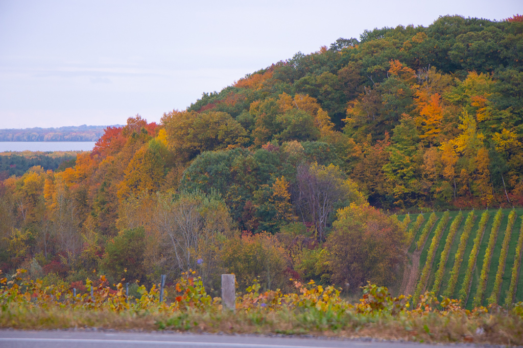 Essential Hiking Safety Tips for Fall