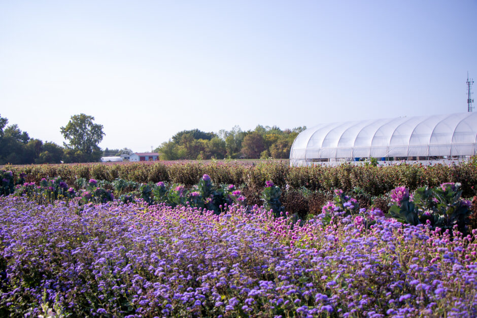 Ways To Be More Environmental In Your Life