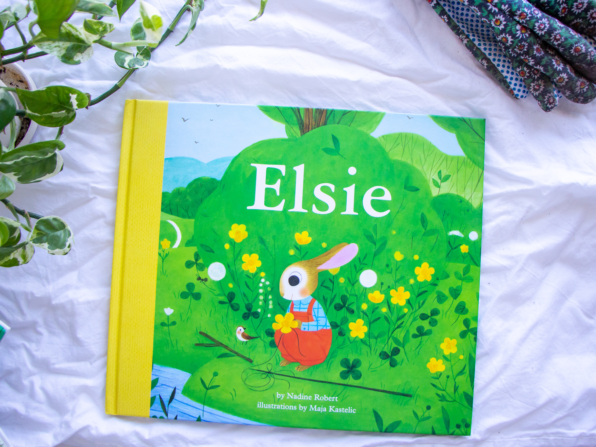 Elsie book