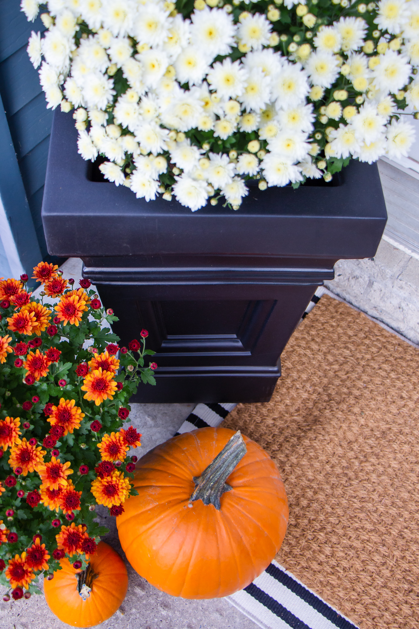 Simple Ways to Spruce Up Your Front Patio for Fall with the Atherton Planter Box™ - Onyx Black 2 Pack from Step2