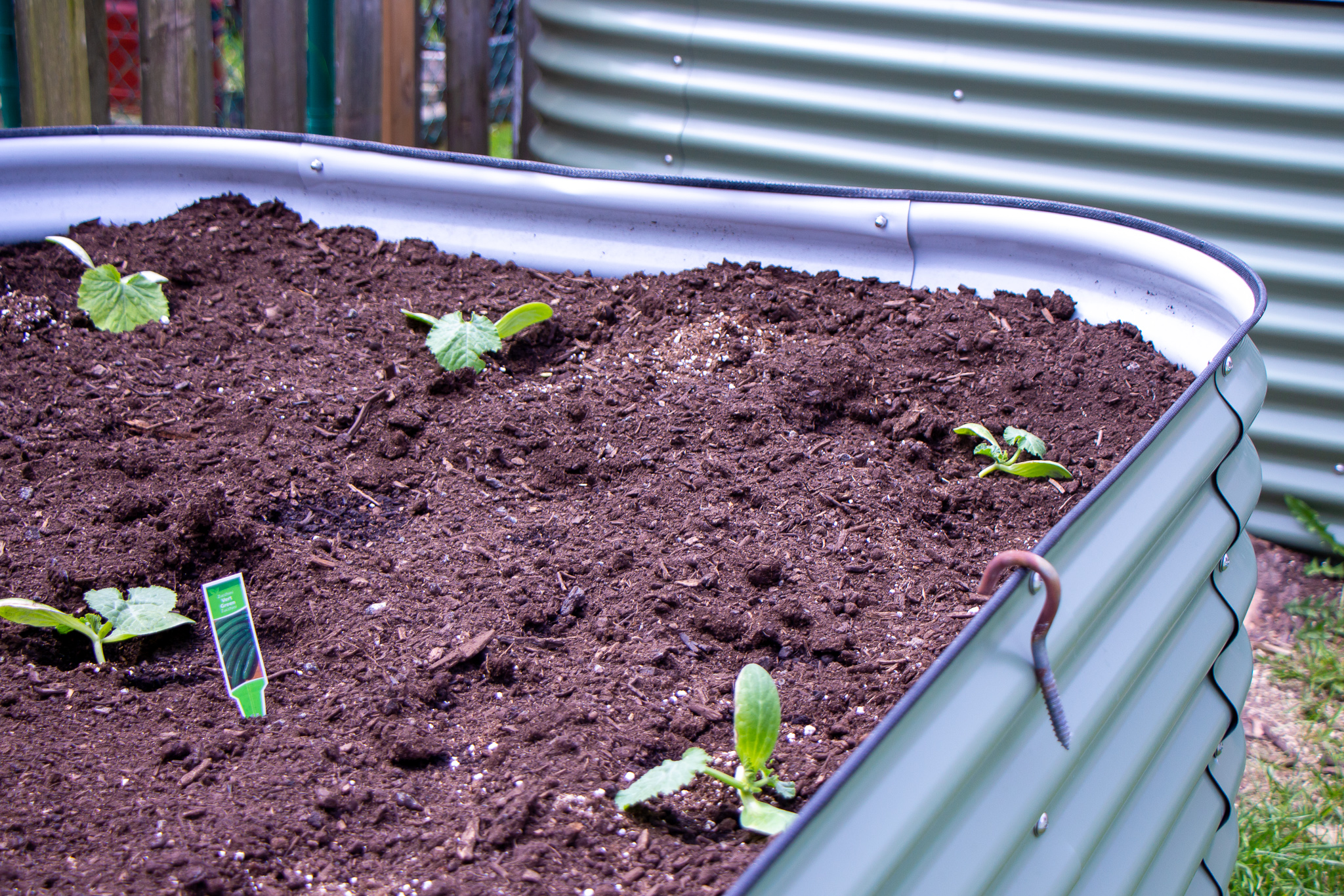 Getting Started: The Beginner's Guide to Gardening with Vego Garden Raised Beds