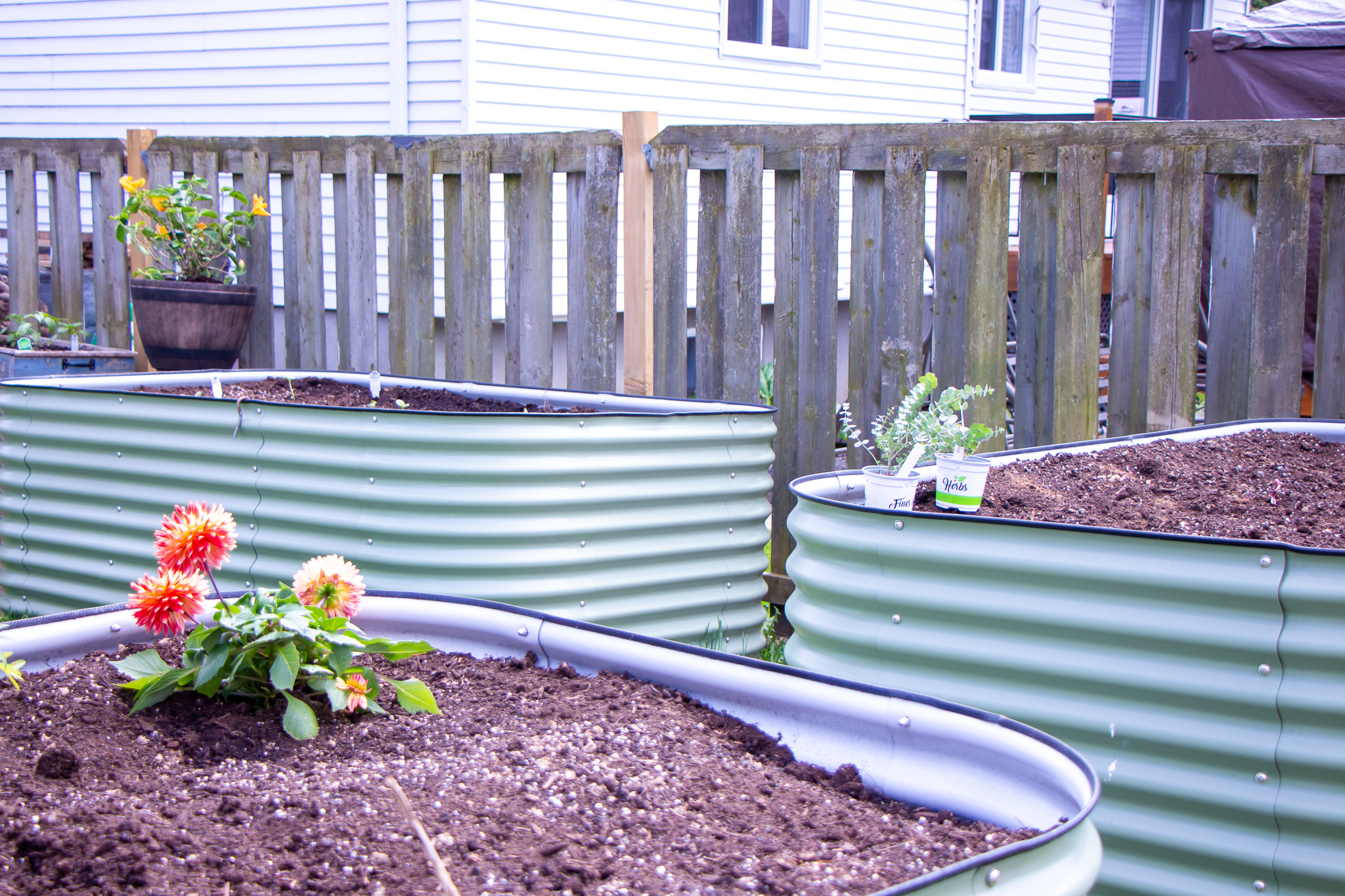Getting Started: The Beginner's Guide to Gardening with Vego Garden Raised Beds