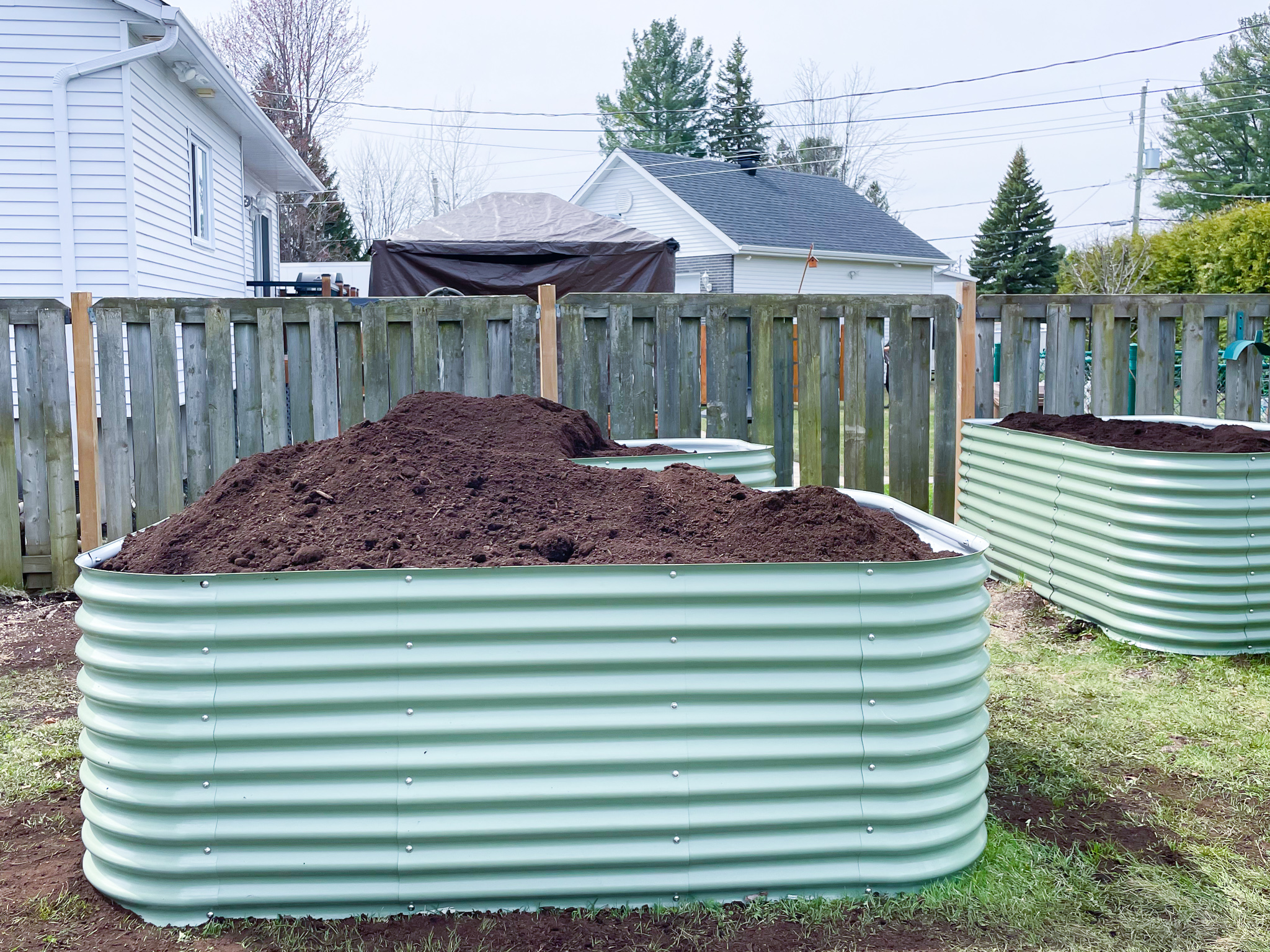 5 Reasons to Teach Your Child About Gardening