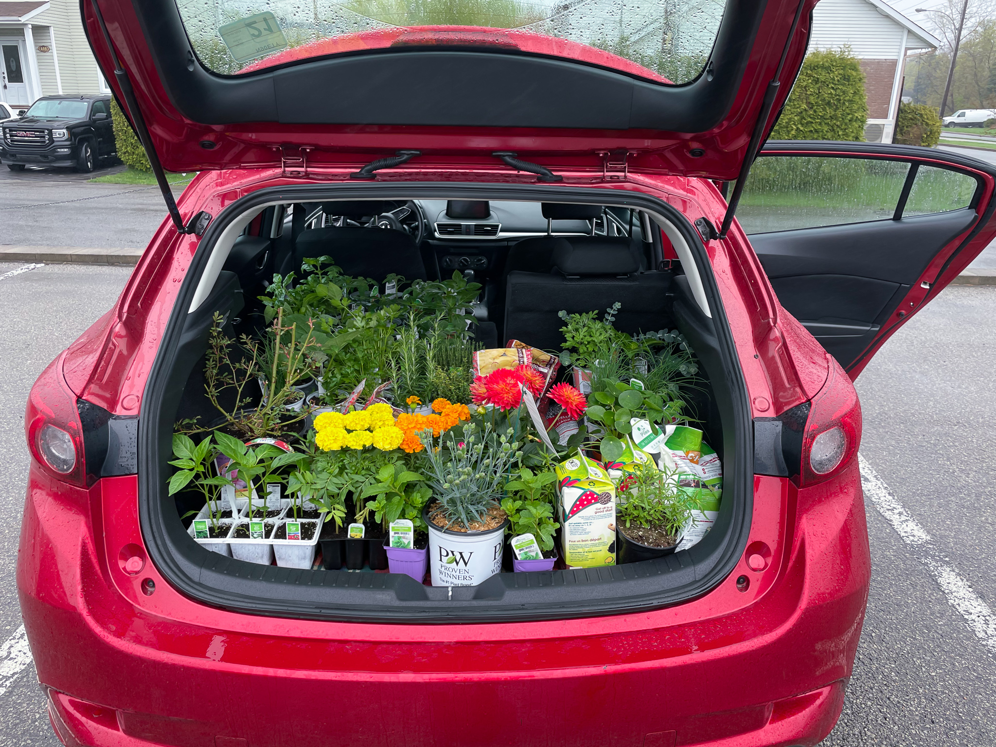 CHOOSING THE RIGHT PLANTS FOR YOUR VEGO GARDEN RAISED BEDS