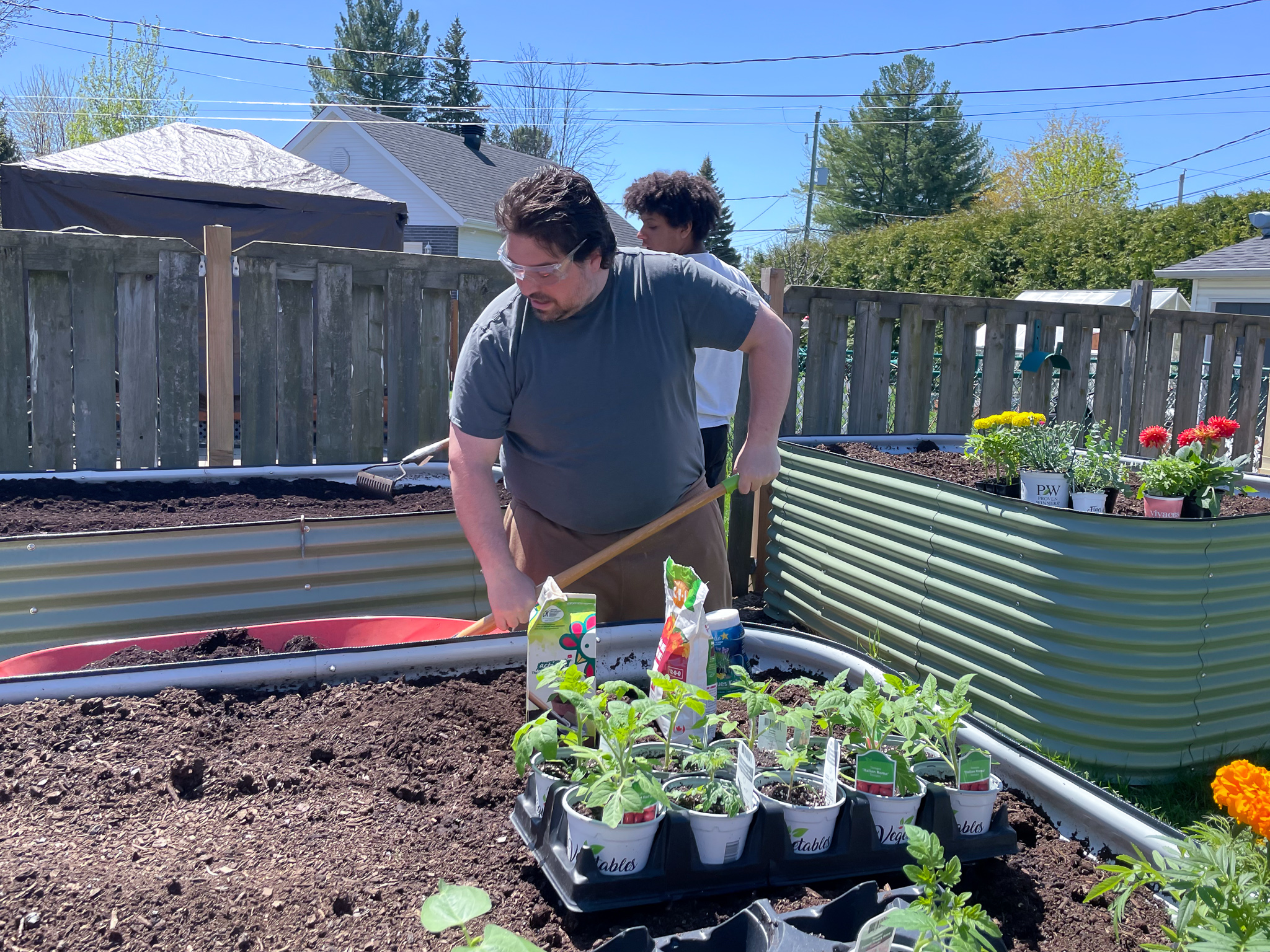 CHOOSING THE RIGHT PLANTS FOR YOUR VEGO GARDEN RAISED BEDS