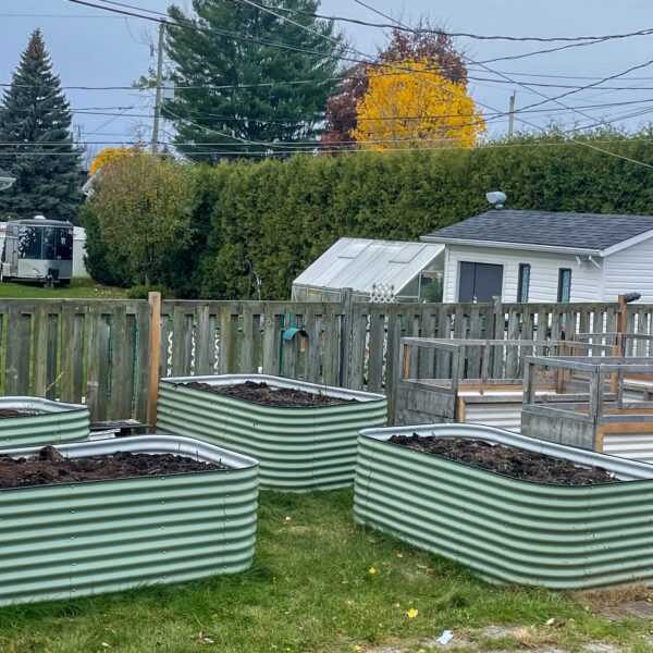 Getting the Yard Ready for Winter