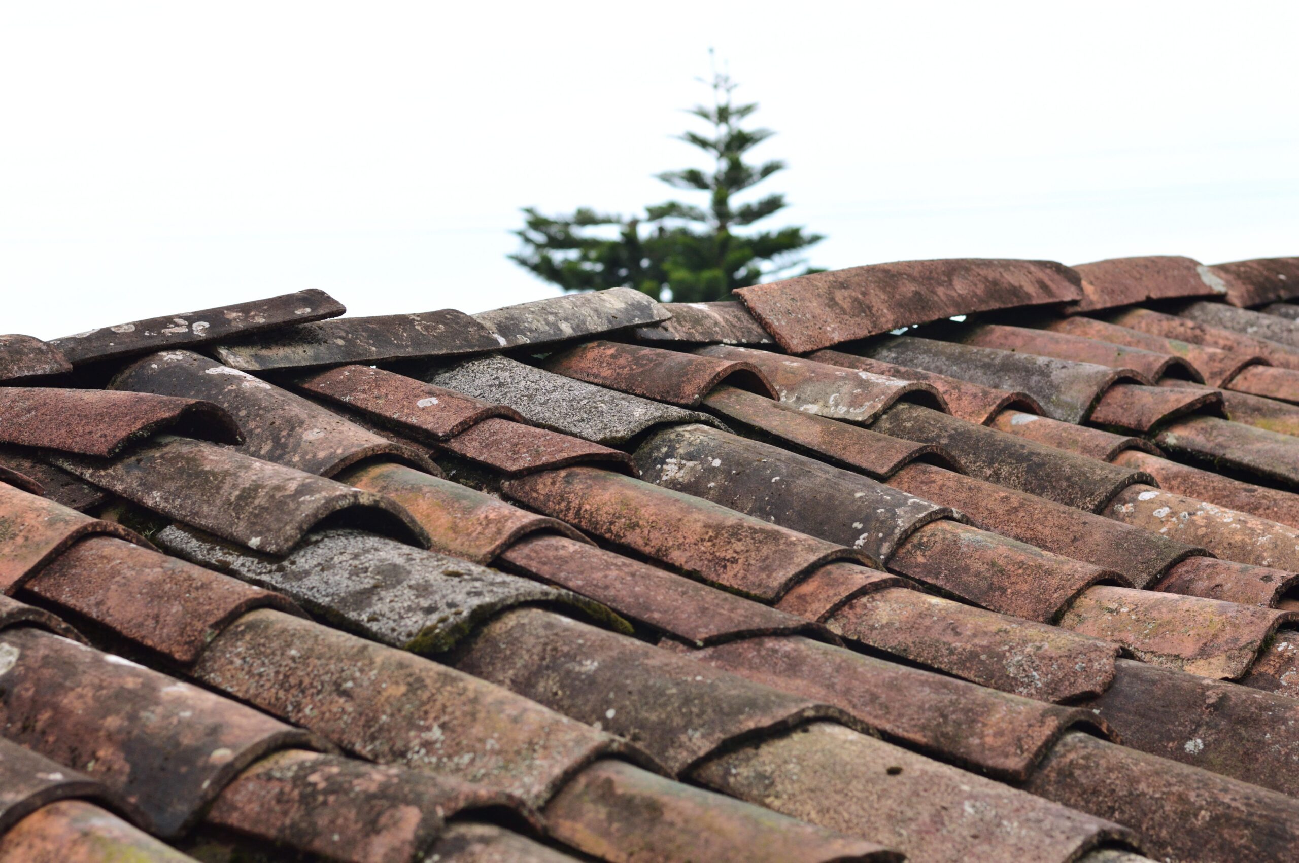 Why Preventive Home Maintenance Saves Time And Stress