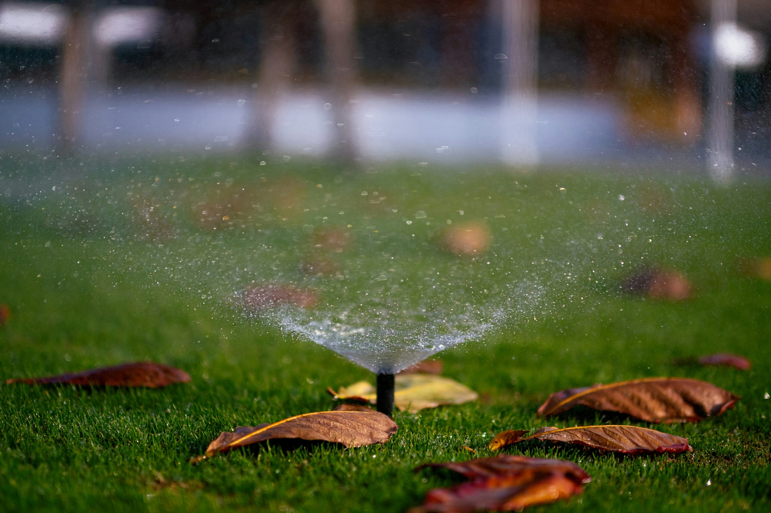 Smart Backyard Upgrades Every Homeowner Should Consider