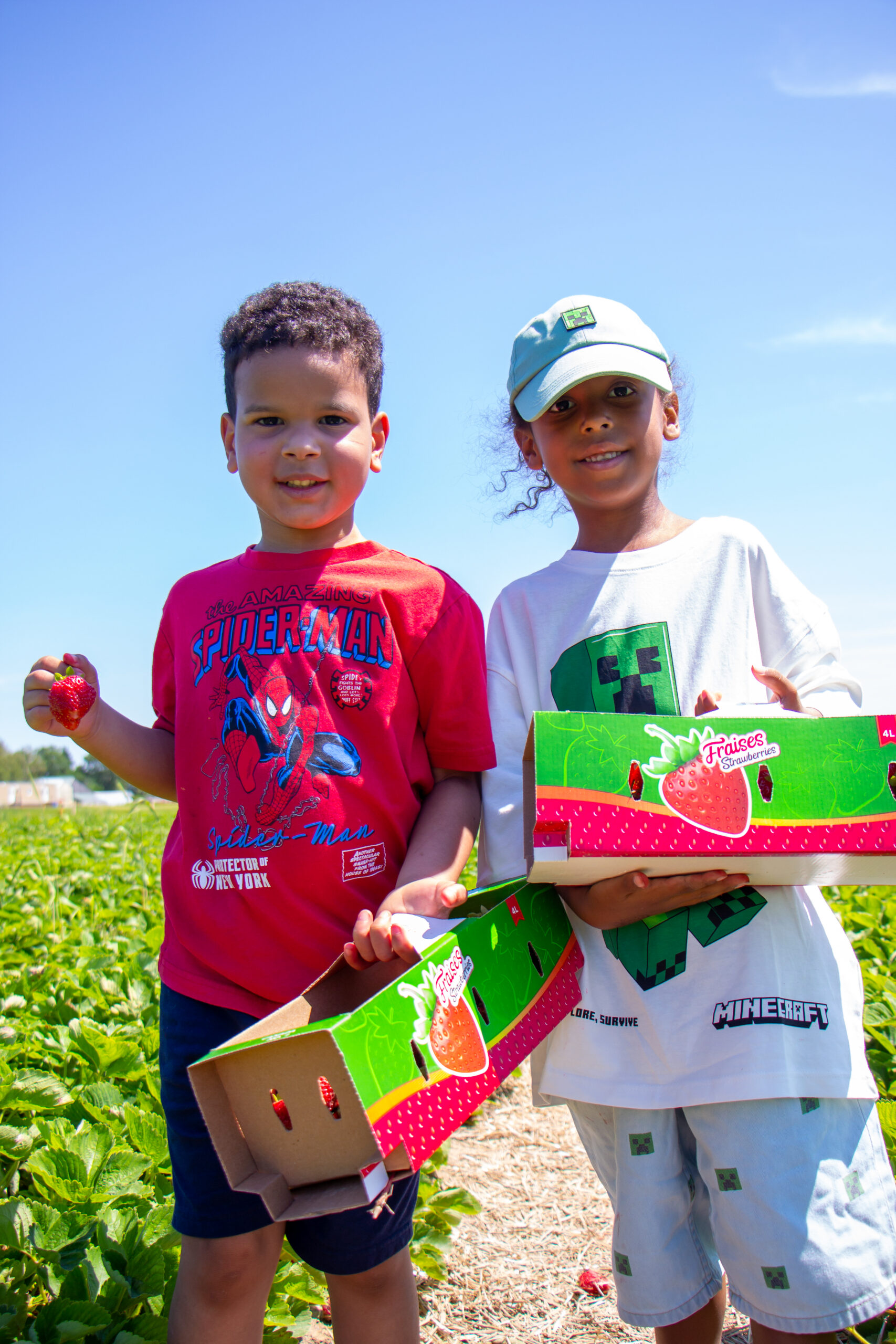 Strawberry Picking at Ferme Marineau in Laval: What We Loved, What We’d Skip, and What It Actually Cost Us