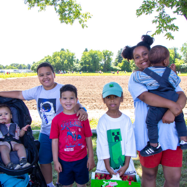 Strawberry Picking at Ferme Marineau: Sharing My Pros & Cons