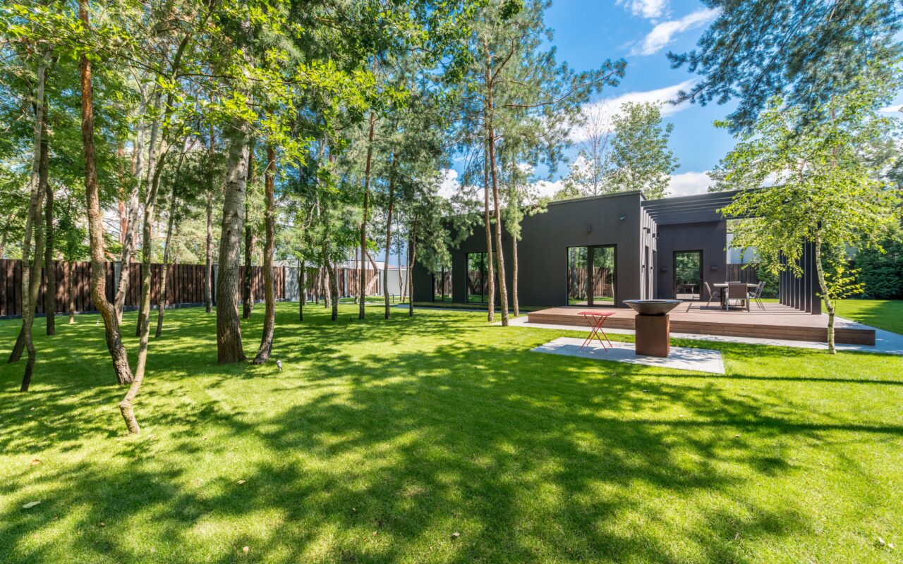 How to Make Your Lawn Look Better Without Wasting Time or Money